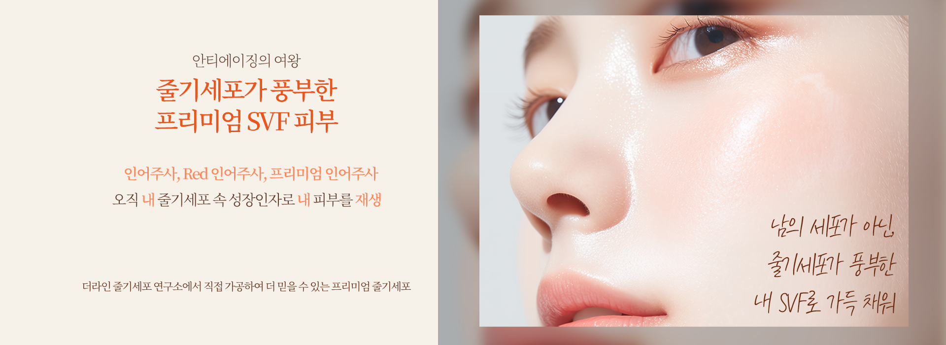 Barbie Nose Surgery
