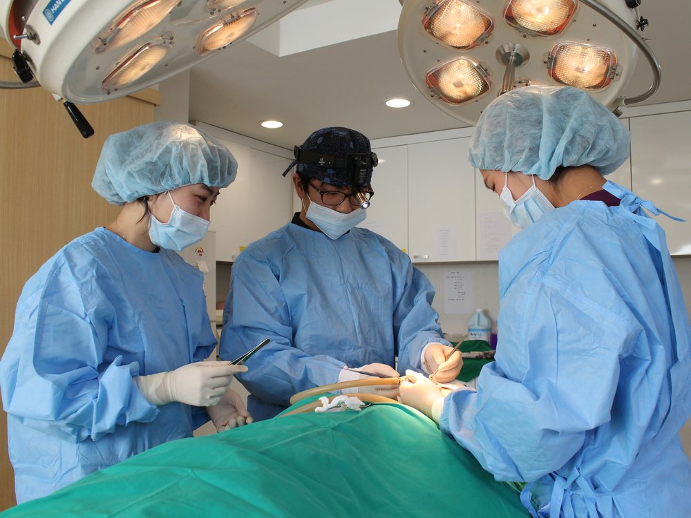 Inside Forever Plastic Surgery Gangnam